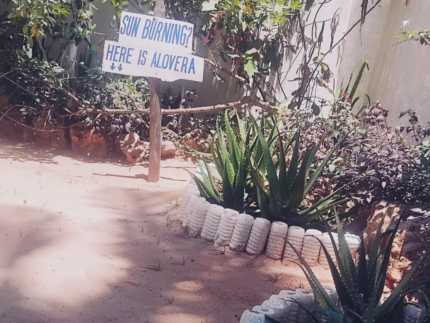 Maua Beach Hotel Kizimkazi Kültér fotó